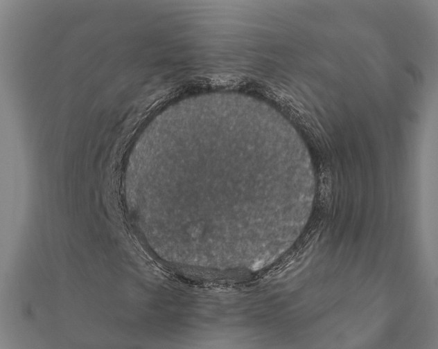 X0000111591249200908131333