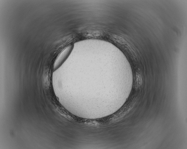 X0000111591250200908131333