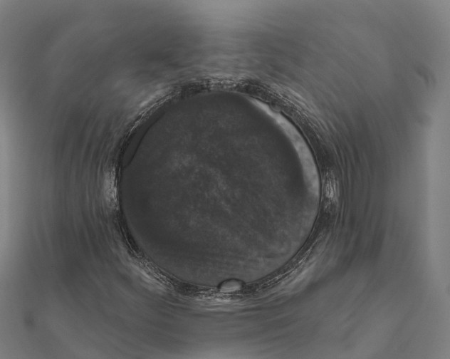 X0000111591252200908131333