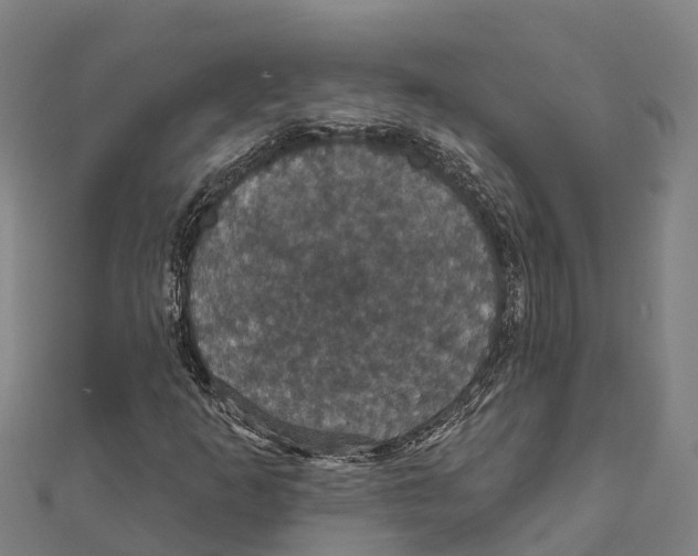 X0000111591253200908131333