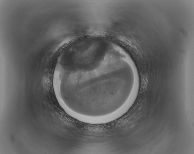 X0000111591254200908131333