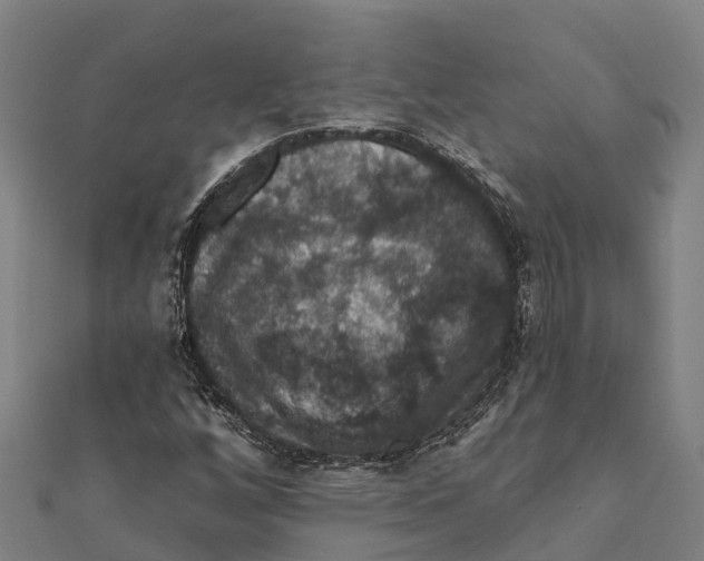 X0000111591256200908131333