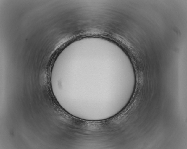 X0000111591258200908131333