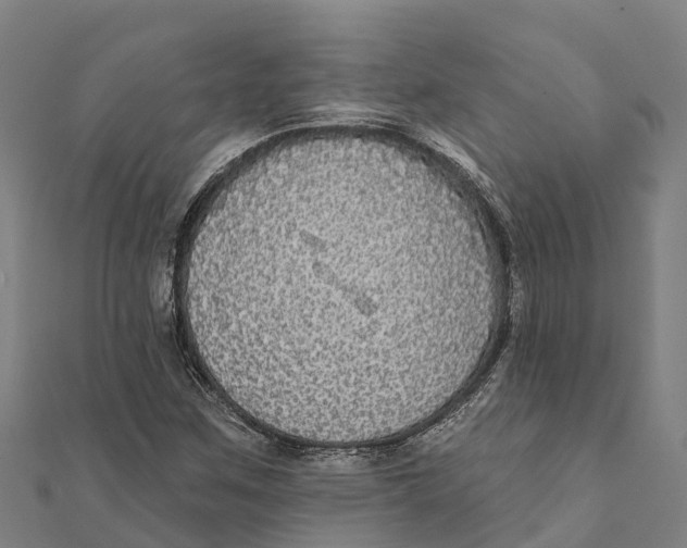 X0000111591259200908131333