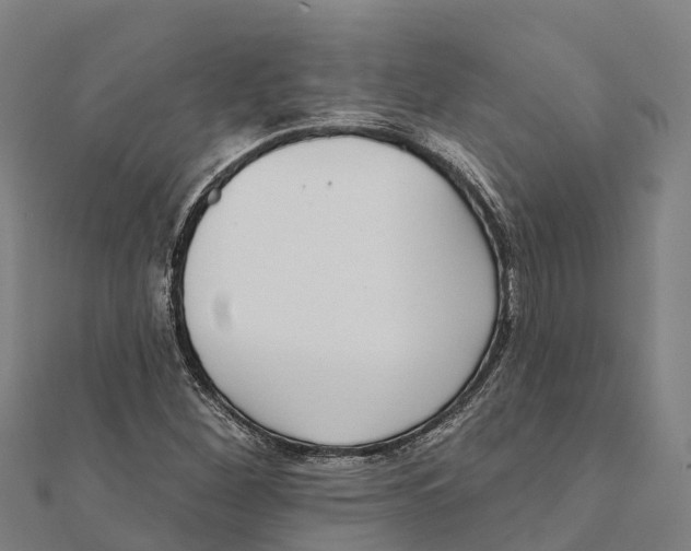 X0000111591260200908131333