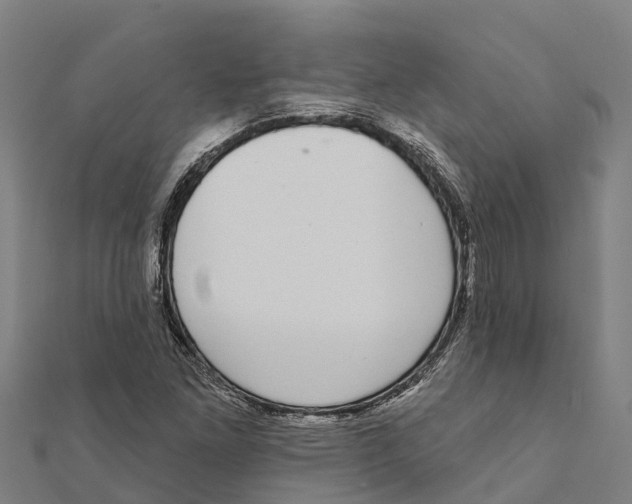 X0000111591261200908131333