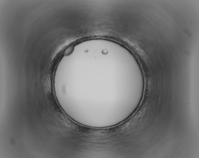 X0000111591262200908131333