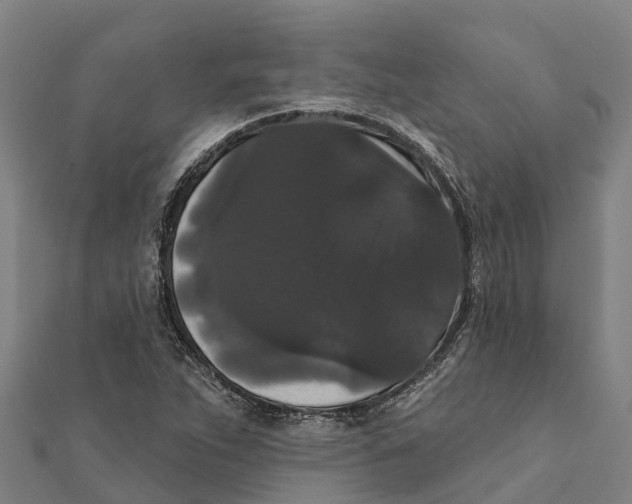 X0000111591263200908131333