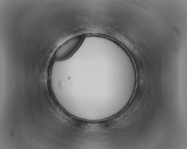 X0000111591264200908131333