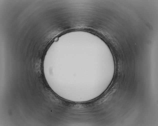 X0000111591265200908131333