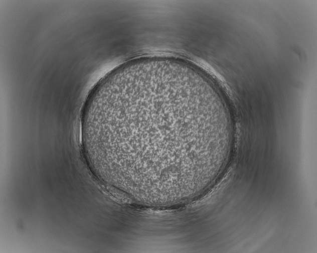 X0000111591269200908131333