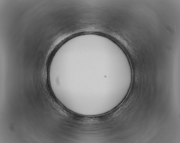 X0000111591270200908131333