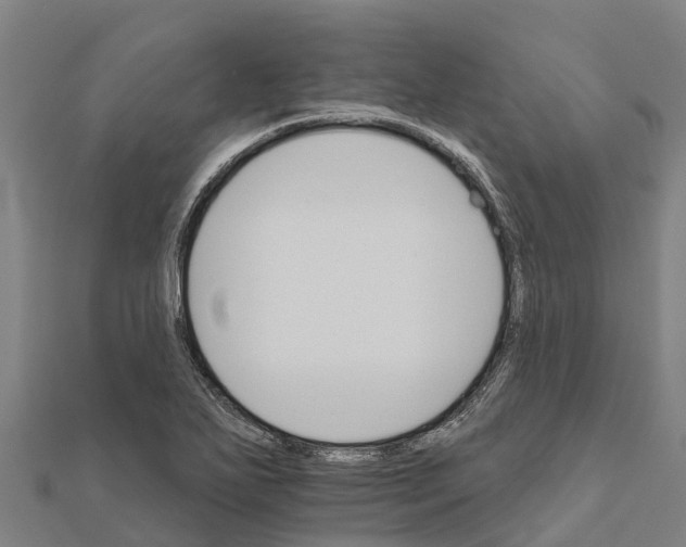 X0000111591271200908131333