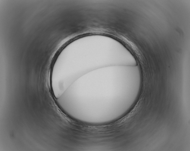 X0000111591272200908131333