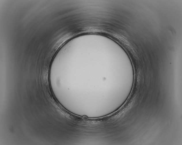 X0000111591273200908131333