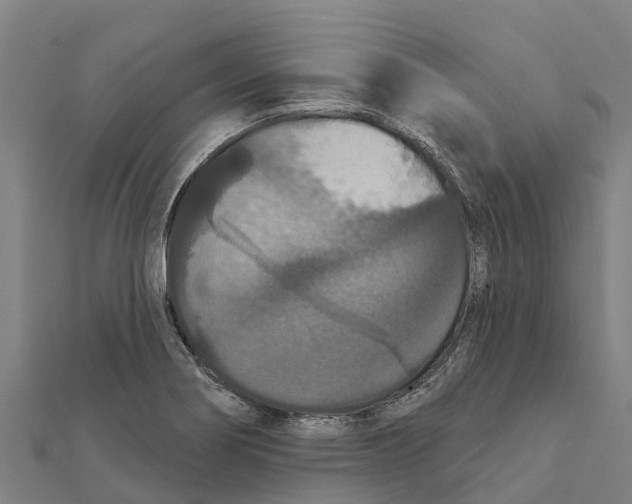 X0000111591274200908131333