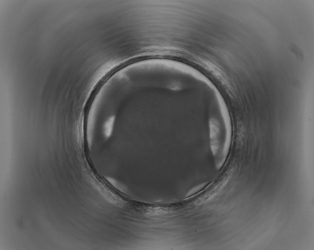 X0000111591275200908131333