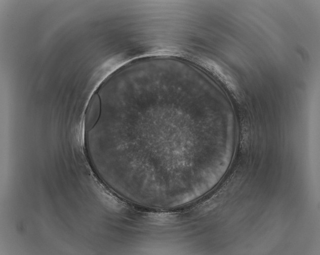 X0000111591276200908131332