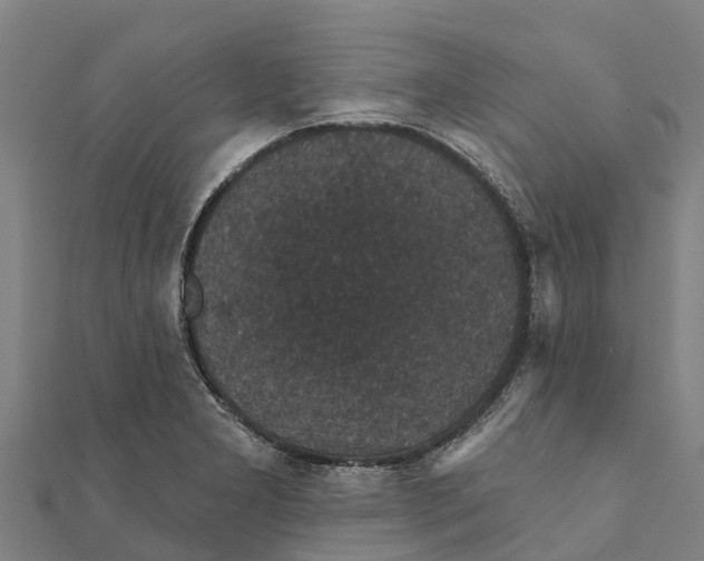 X0000111591277200908131332