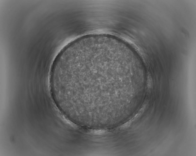 X0000111591278200908131332