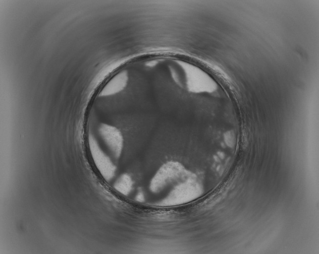 X0000111591279200908131332