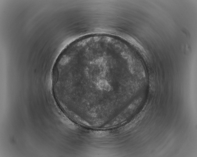 X0000111591280200908131332