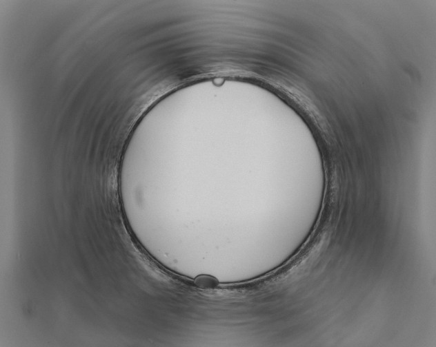X0000111591281200908131332