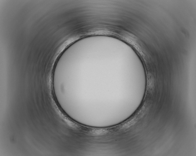 X0000111591282200908131332