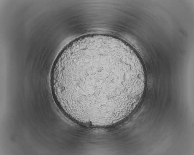X0000111591283200908131332
