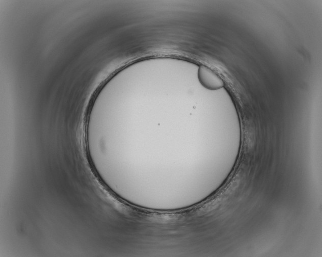 X0000111591286200908131332