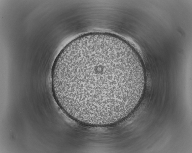 X0000111591287200908131332
