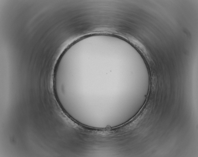 X0000111591288200908131332