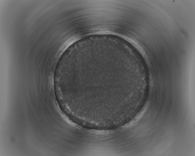 X0000111591289200908131332