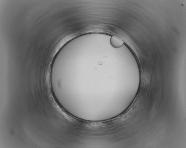 X0000111591290200908131332