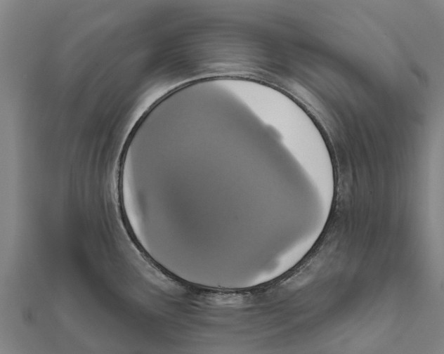 X0000111591291200908131332