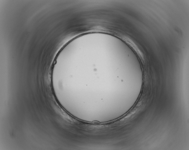 X0000111591292200908131332