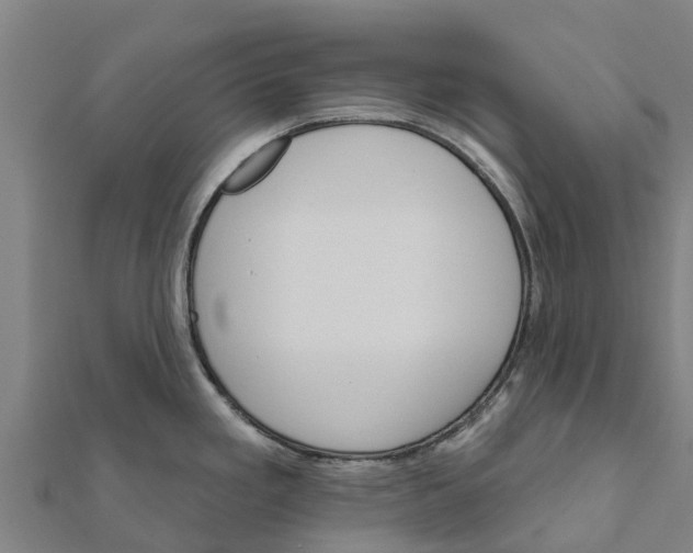 X0000111591293200908131332