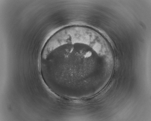 X0000111591295200908131332