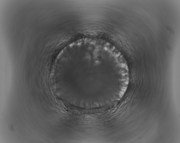 X0000111591297200908131331