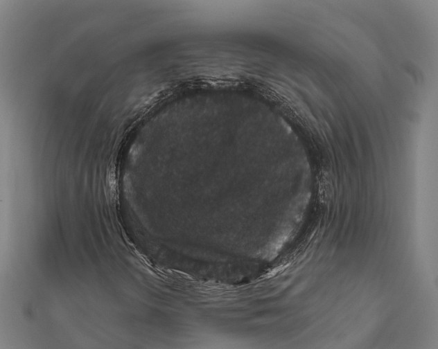X0000111591298200908131331