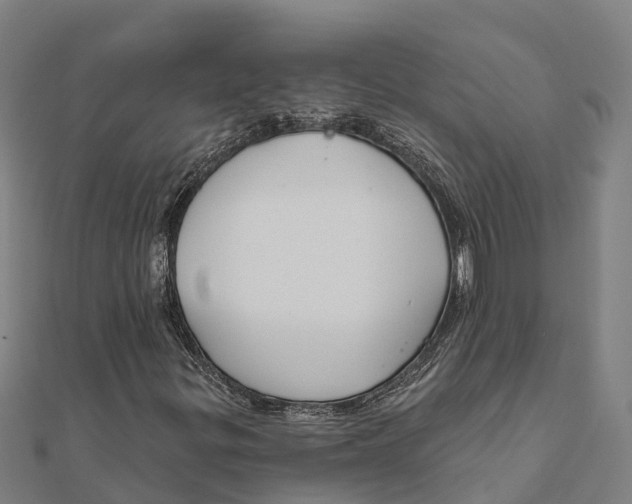 X0000111591299200908131331