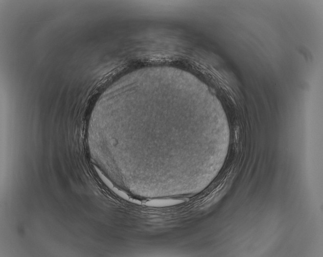 X0000111591300200908131331