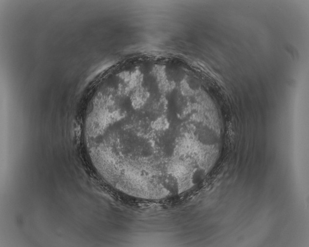 X0000111591302200908131332