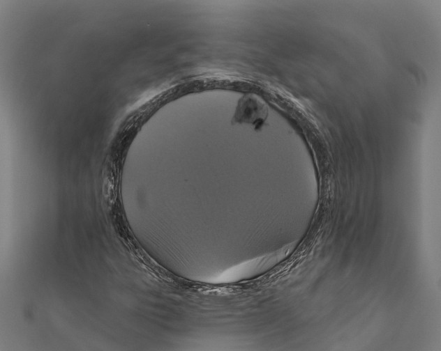 X0000111591303200908131332