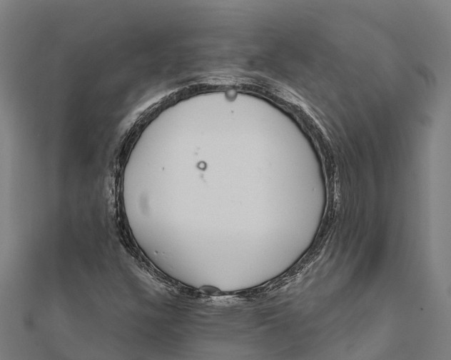 X0000111591304200908131332