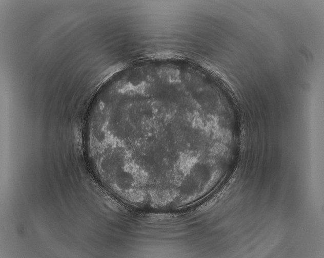 X0000111591305200908131332