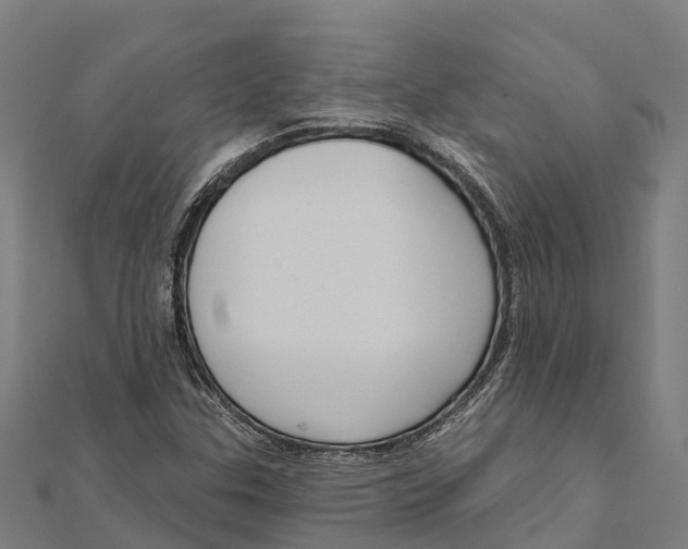 X0000111591307200908131332