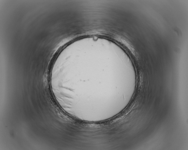 X0000111591308200908131332