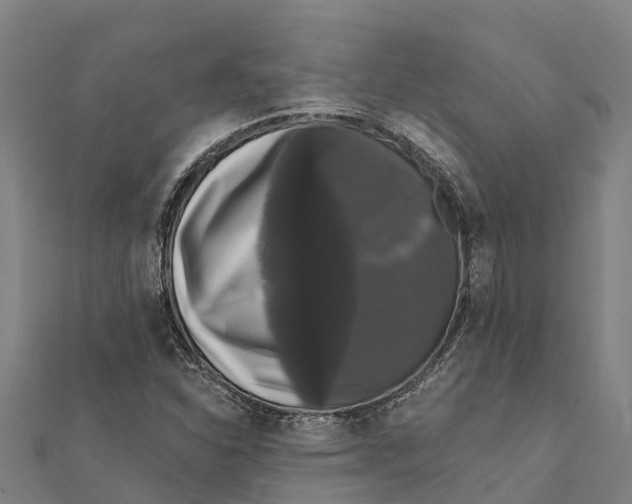 X0000111591310200908131332