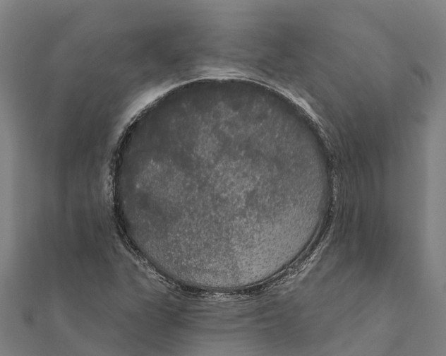 X0000111591311200908131332